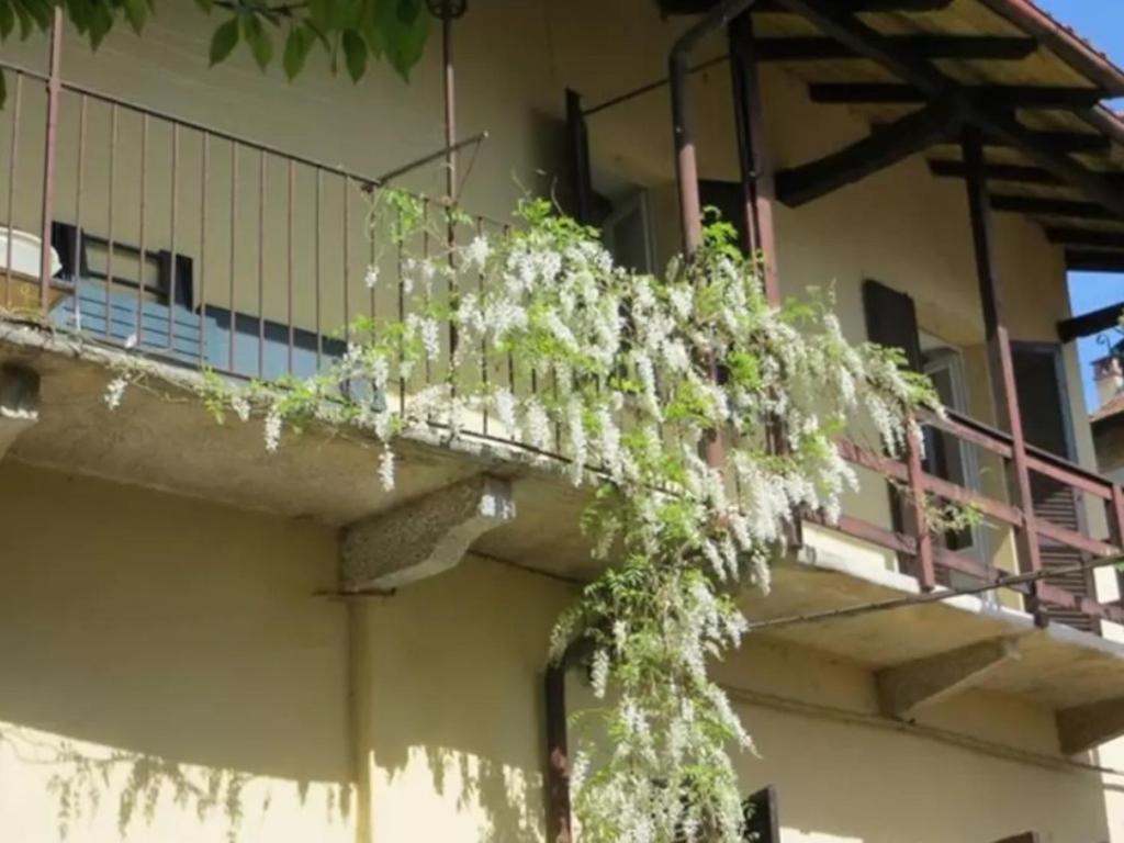 Belgirate il Lavatoio — hotel in Belgirate