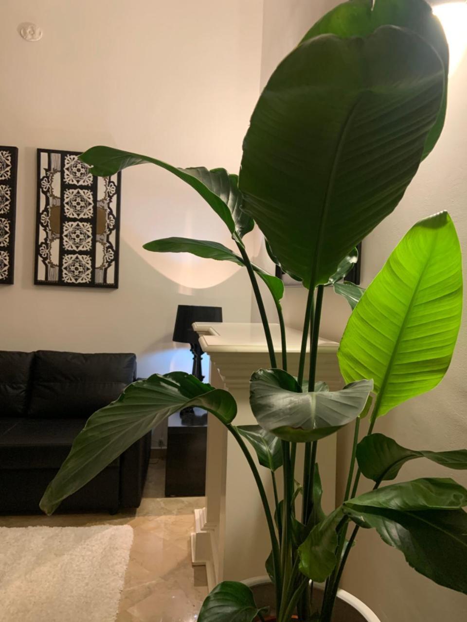 Bari Downtown Luxury Apartment — 4-Star Luxury Hotel in Bari, Italy