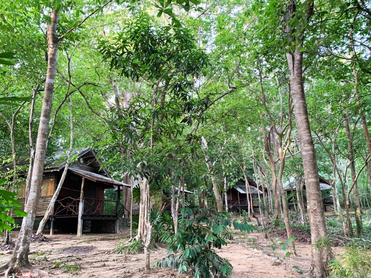 Foresta Cottage Of Koh Pu No6196 20460788 — Nuea Khlong