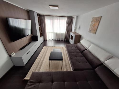 Biverse Prestige — Petrila — photo 4