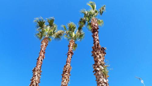 Le 3 Palme — hotel in Morciano Di Leuca