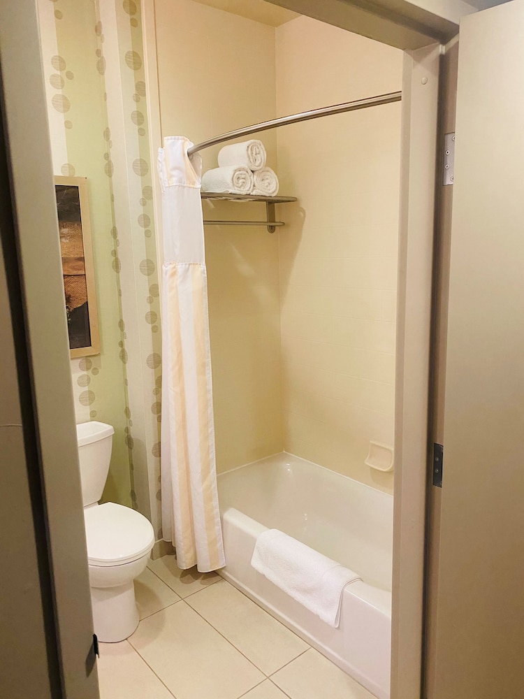 Hilton Garden Inn Fort Worth Alliance Airport - photo 21