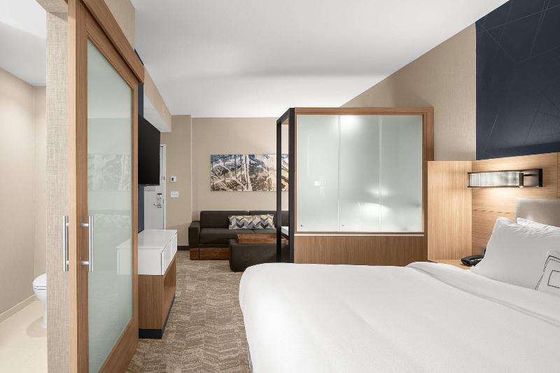 SpringHill Suites by Marriott Jackson - photo 42