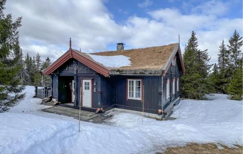 Nice Home In Sjusjøen With Wifi — 4-Star Luxury Hotel in None, Norway
