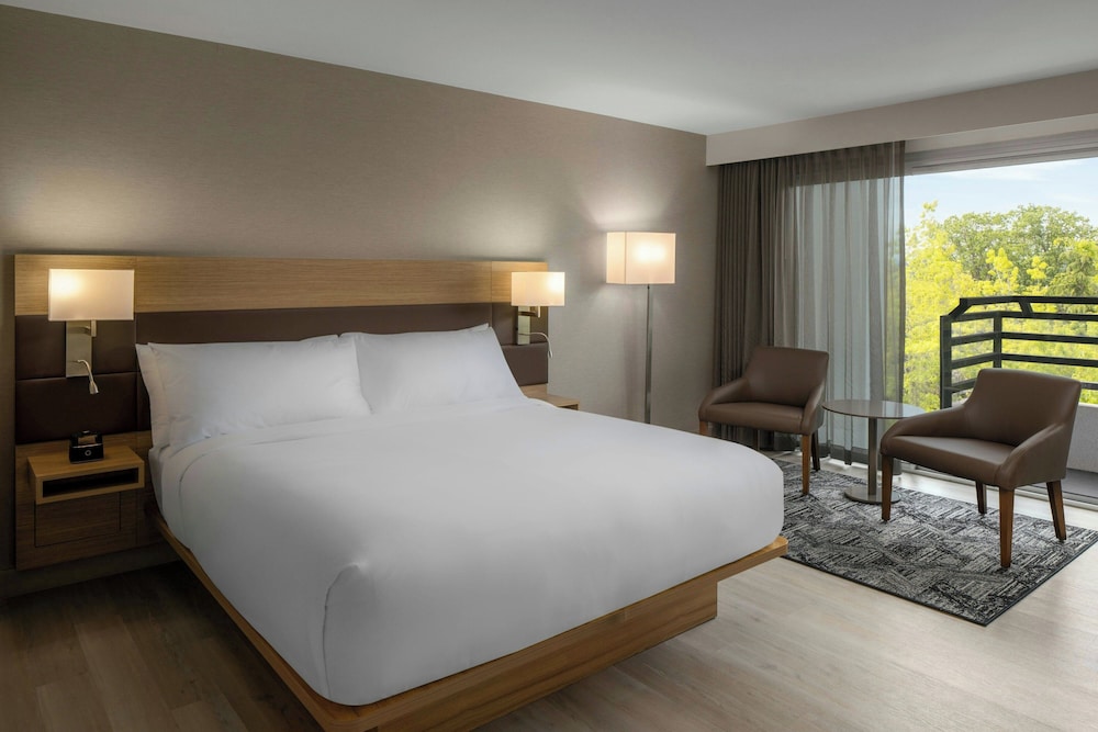 AC Hotel by Marriott Portland Lake Oswego - photo 16