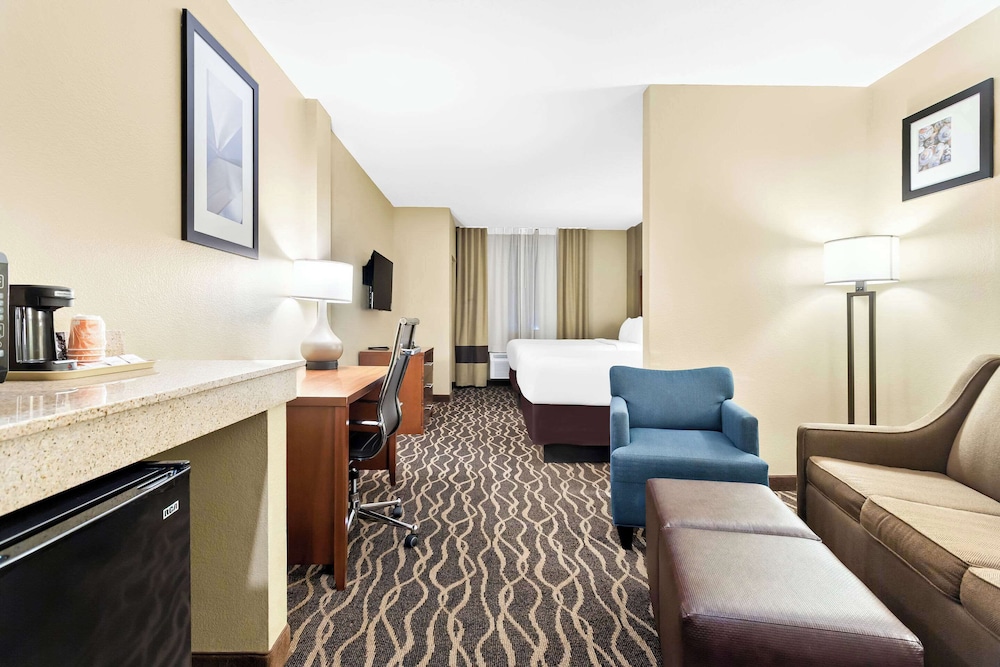 Comfort Suites Tampa Airport North - photo 12