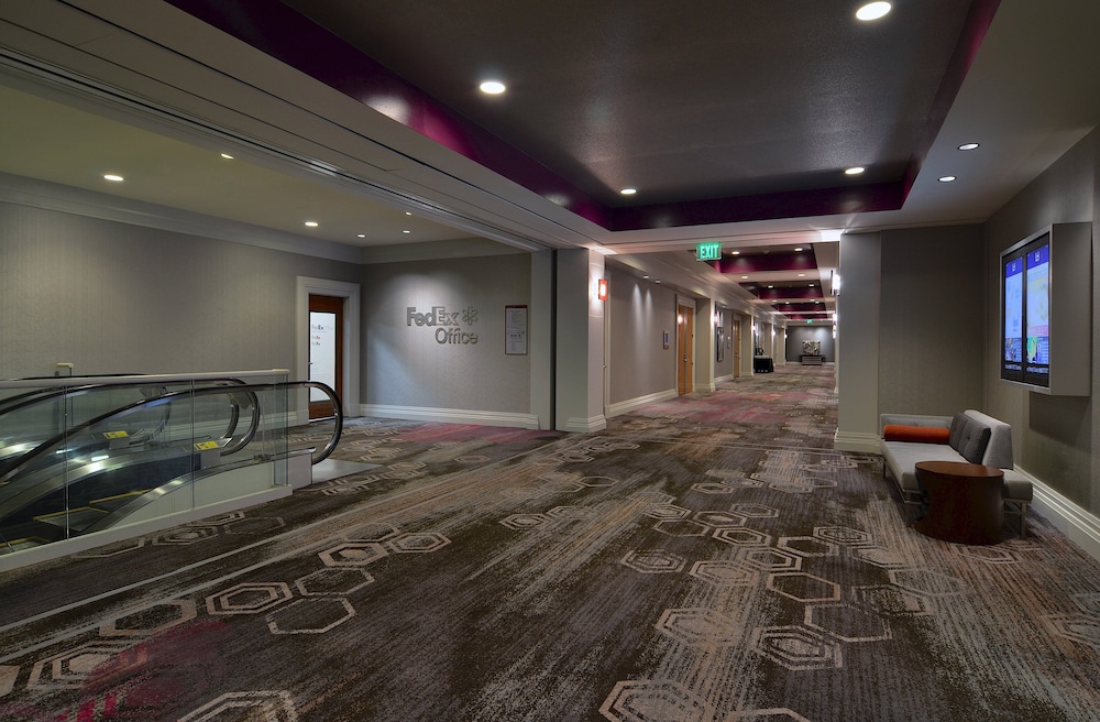 Loews Hollywood Hotel - photo 63