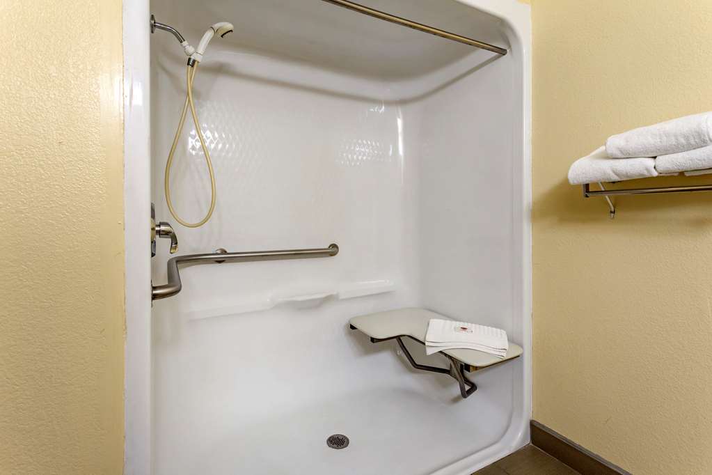 Comfort Inn & Suites North Aurora Naperville - photo 16