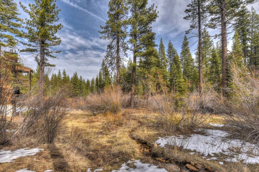 Silver Tree Sanctuary in Aspen Grove - photo 21