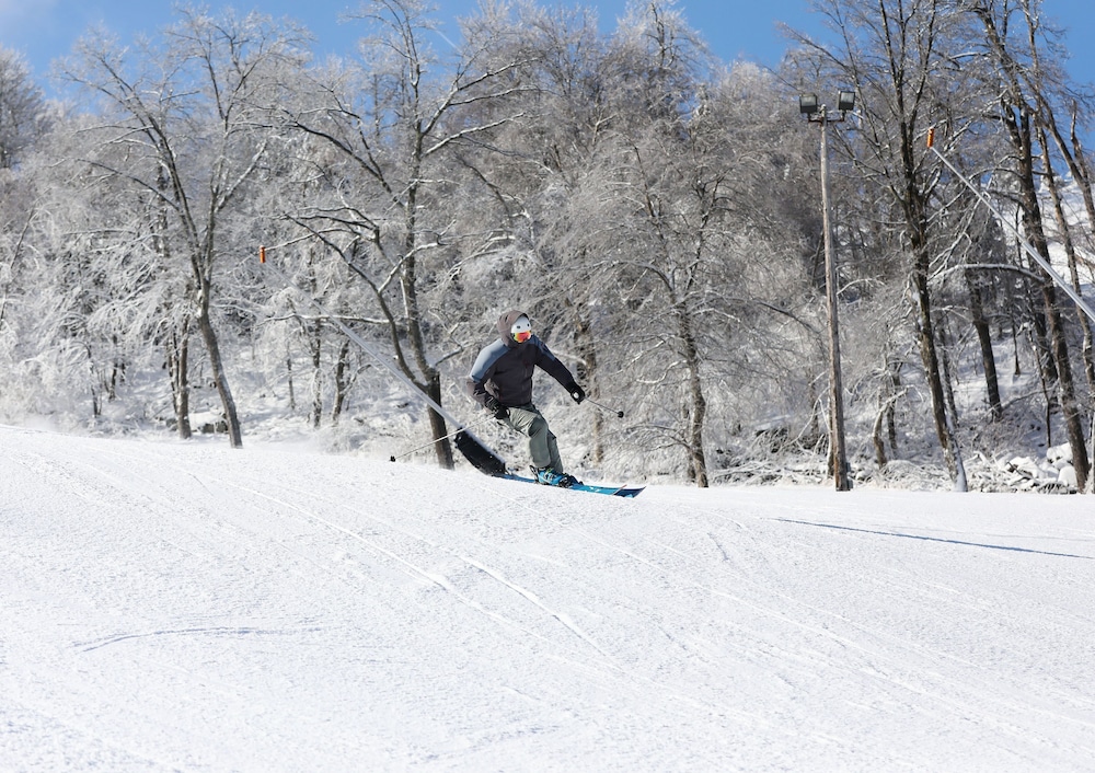 Slopeside Hotel A Vail Resorts Property - photo 49