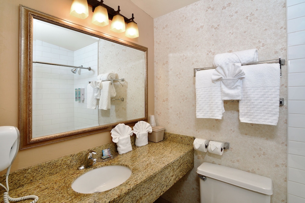 Lamplighter Inn & Suites at SDSU - photo 54