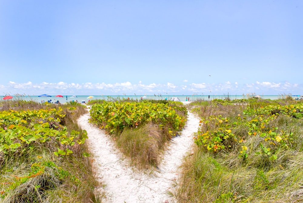 Coquina 2A - photo 20