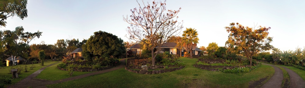 Altiplanico Rapa Nui