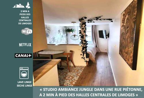 Studio Jungle Calme Rue Pietonne in Limoges, France