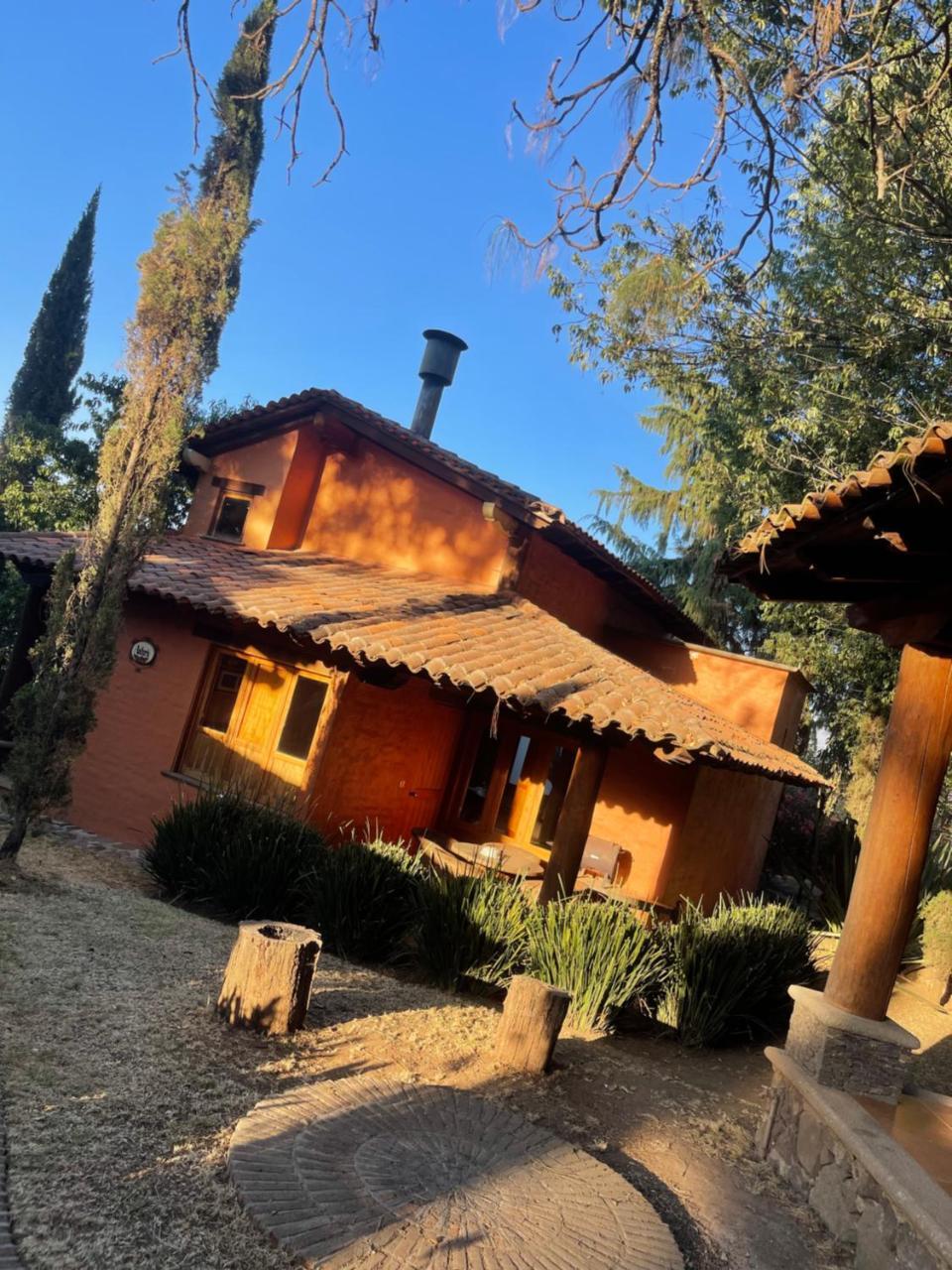 Anturio in Mazamitla, Mexico