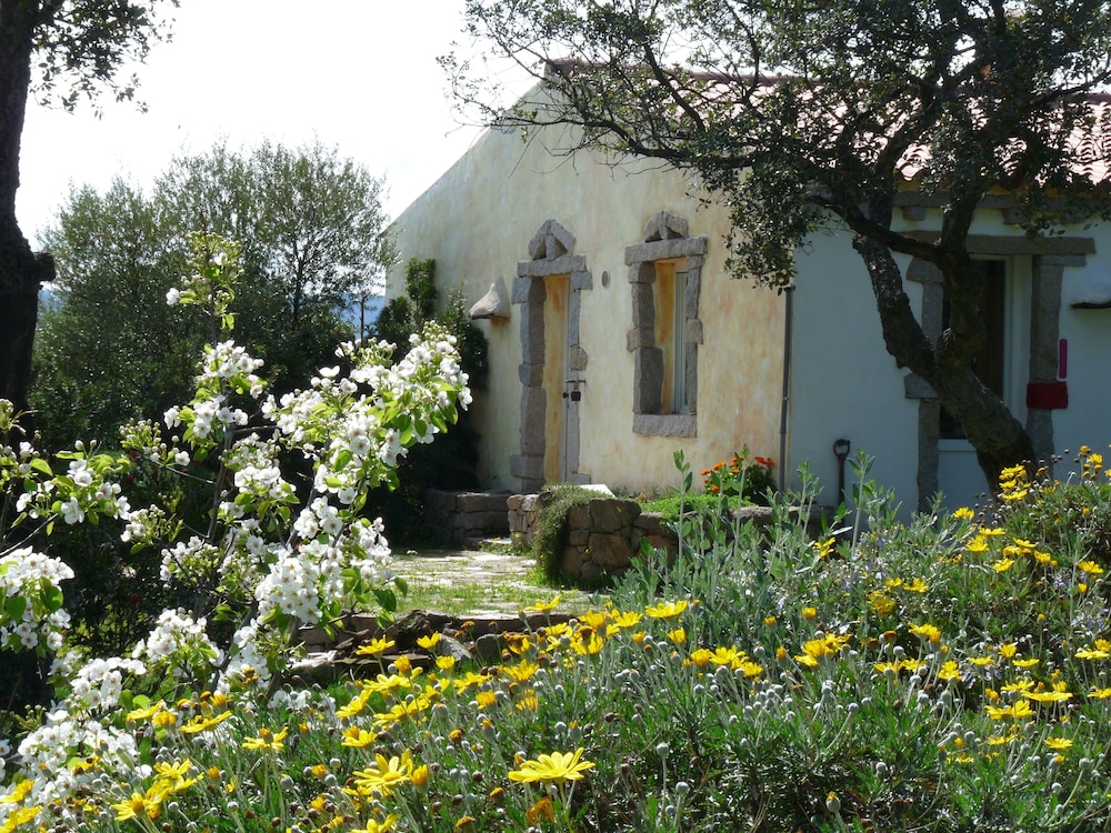 La Scala - last minute hotel in Olbia
