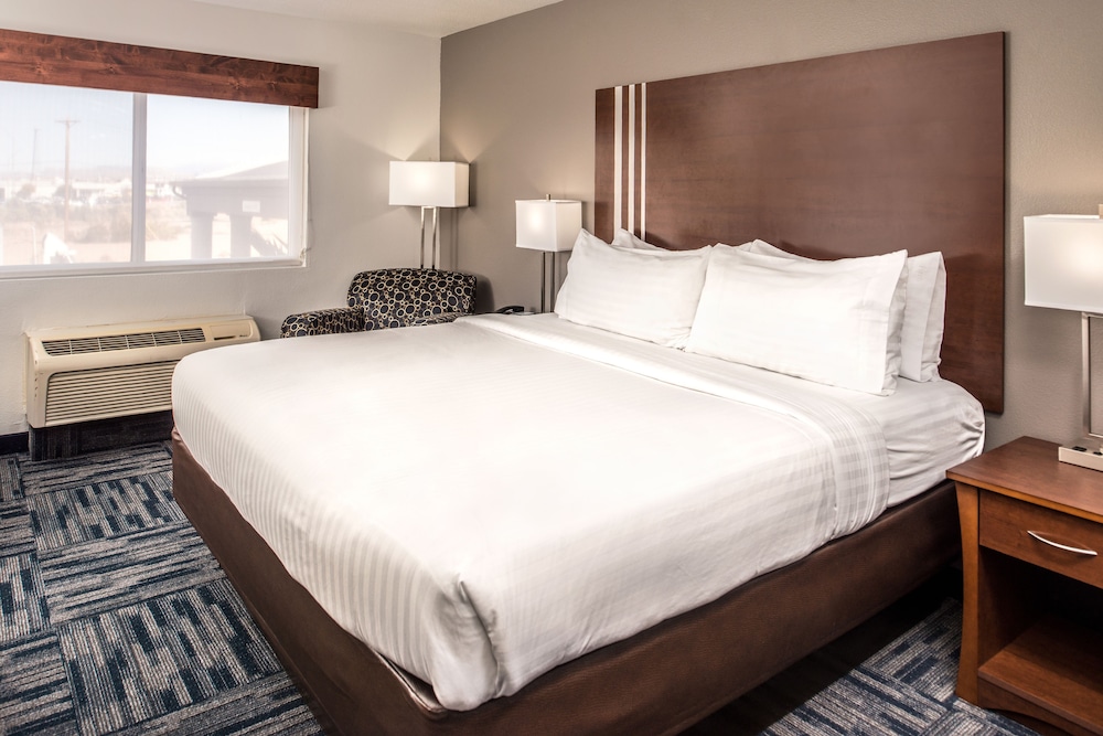 Holiday Inn Express Hotel & Suites Alamogordo Hwy 54 70 by IHG - photo 13