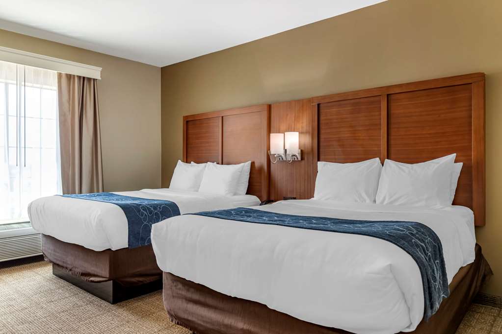 Comfort Suites Buda Austin South - photo 22