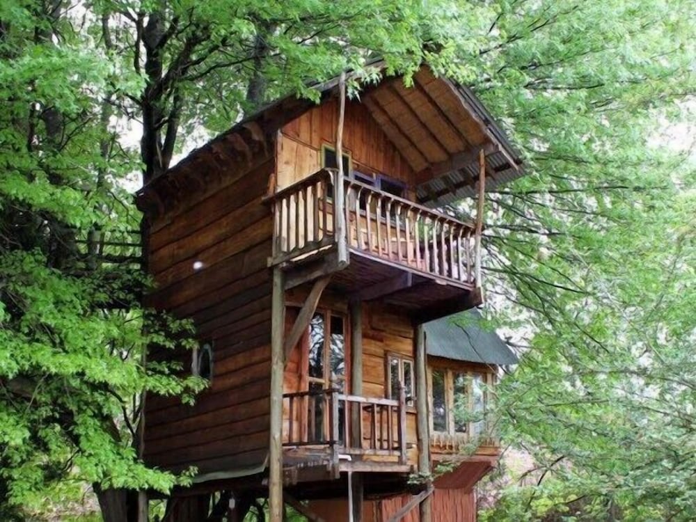 Sycamore Avenue Treehouses — hotel in Mooirivier