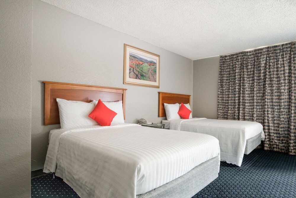 OYO Inn Dallas South - photo 16
