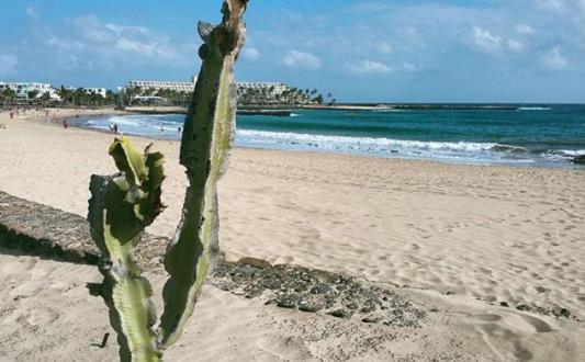 Villa Bella Lanzarote — Costa Teguise — photo 3