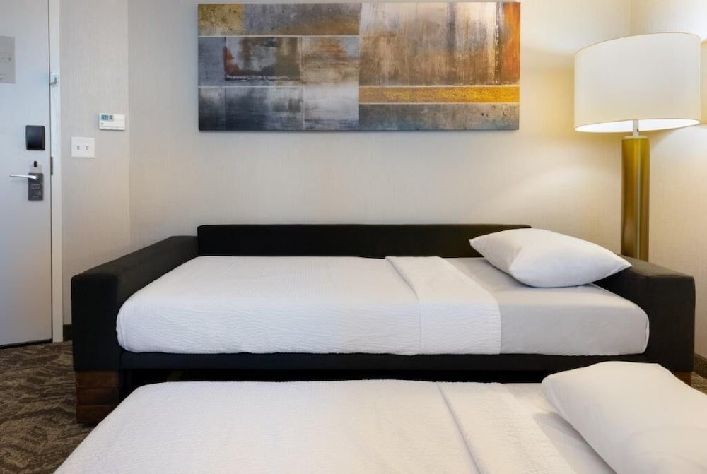 SpringHill Suites by Marriott Columbia - photo 6