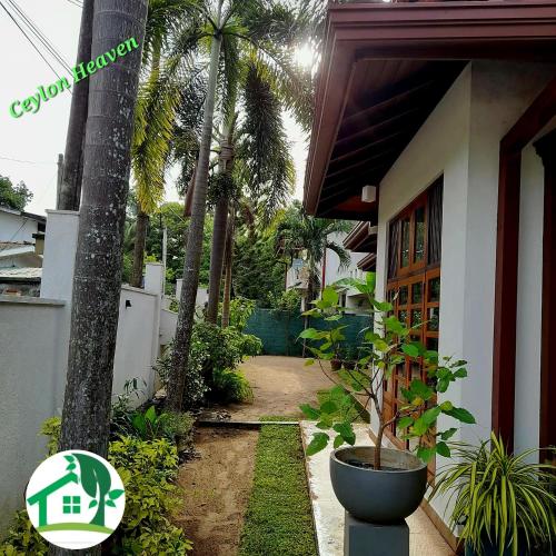 Ceylon Heaven — Unknown City — photo 5