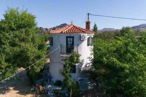 Windmill for Two near Skala Eressos — Eresos — photo 3