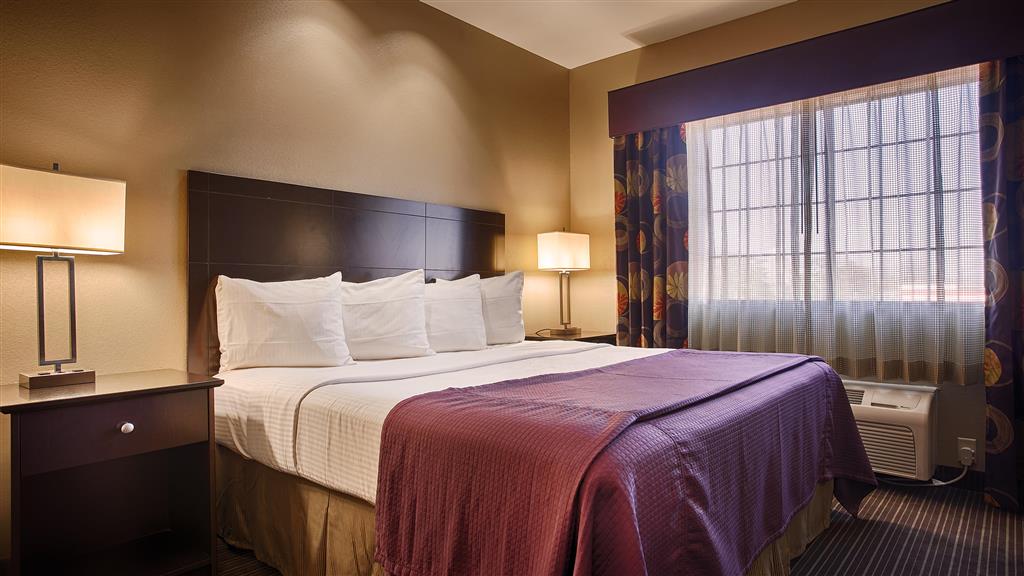 Best Western Giddings Inn & Suites - photo 10
