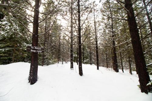 Cooper Spur Mountain Resort - photo 41
