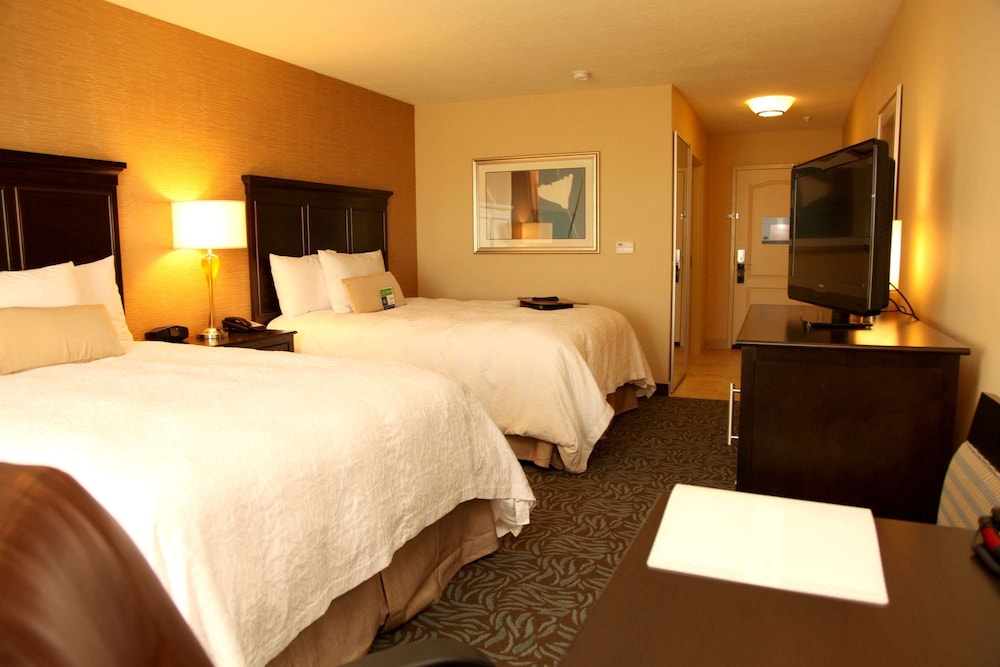 Hampton Inn & Suites Carlsbad - photo 7