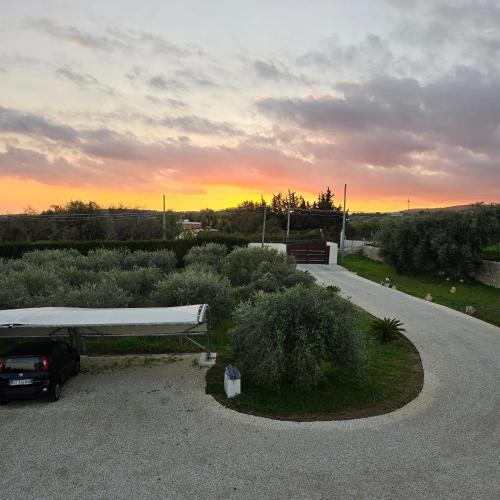 I Secolari di Giulia — Avola — photo 5