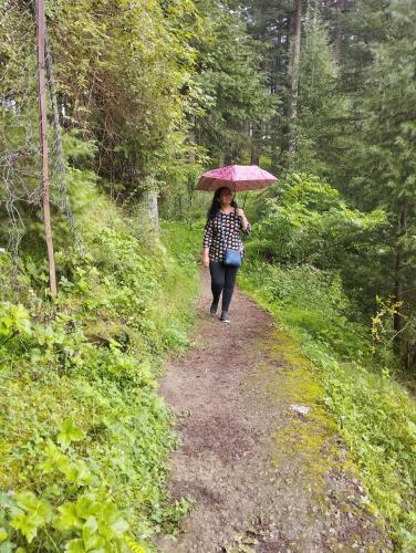 Jamming Tree - carbon neutral hotel in Manali