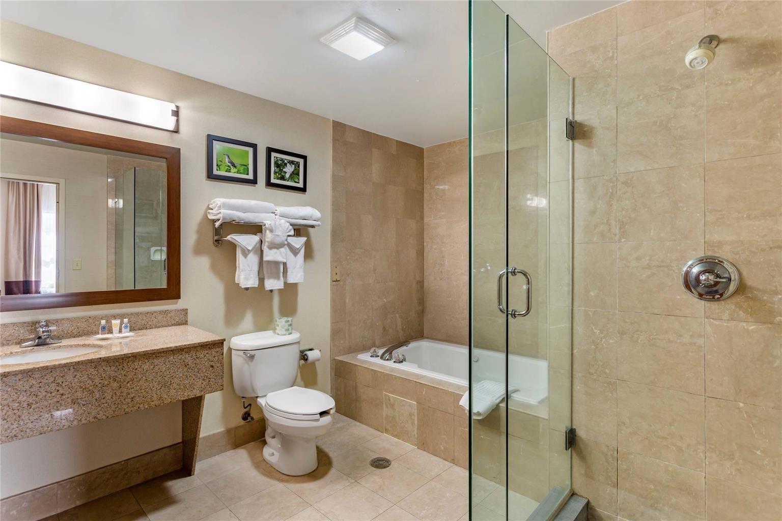 Comfort Suites Southaven Memphis South - photo 14