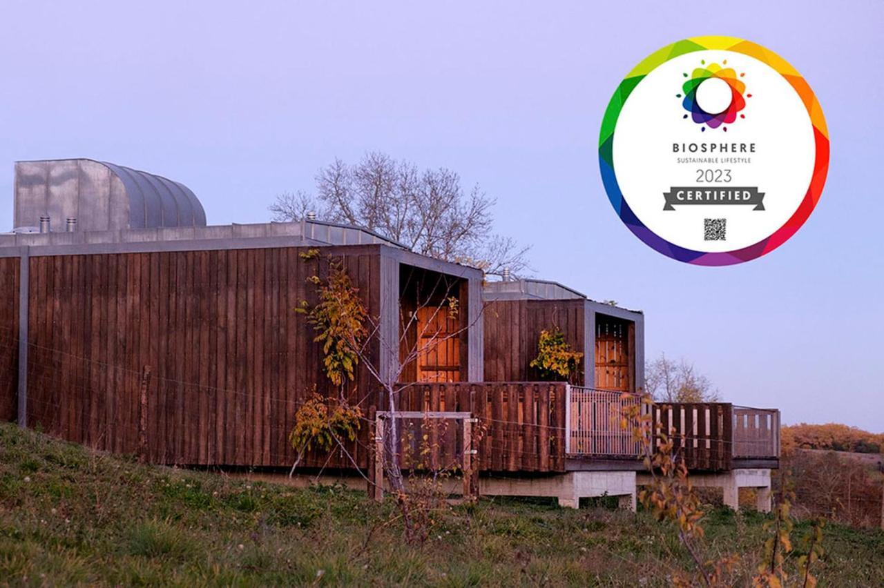 Betula Studios — Braganca — photo 4