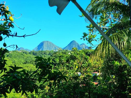 Apartment With 2 Bedrooms in Fort de france With Wonderful sea View Enclosed Garden and Wifi — 4-Star Luxury Hotel in Fort-De-France, Martinique