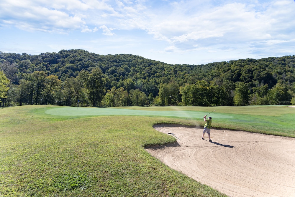 Pine Mountain State Resort Park - photo 37