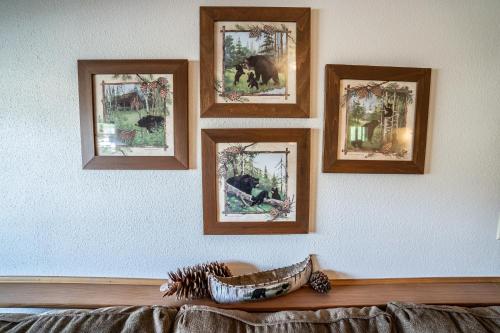 Bears Den Alaska Lodging - photo 32