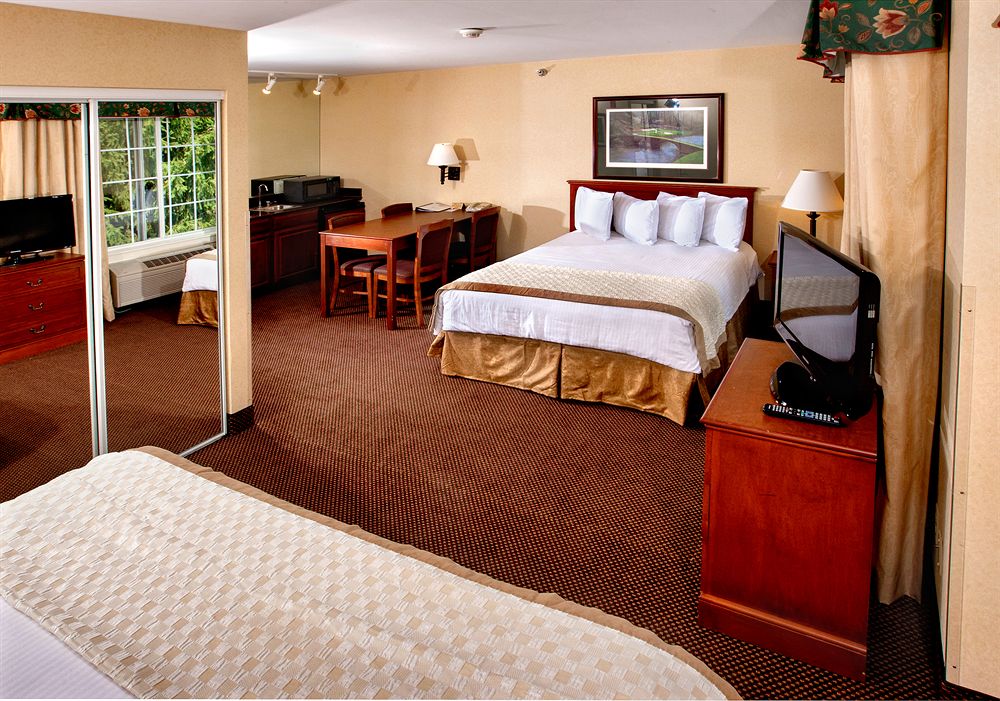The Lotus Suites at Midlane - photo 5