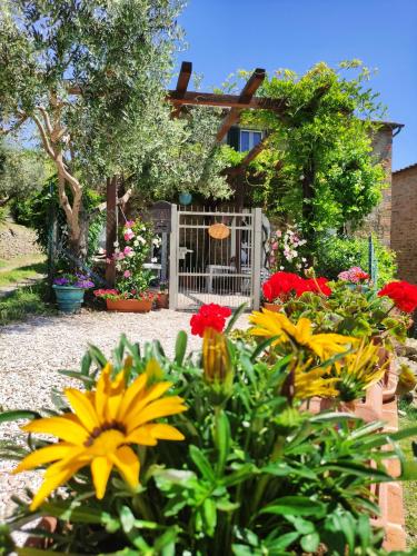 Private Stone Cottage with Starlink & Lake View — 4-Star Luxury Hotel in Tuoro Sul Trasimeno, Italy