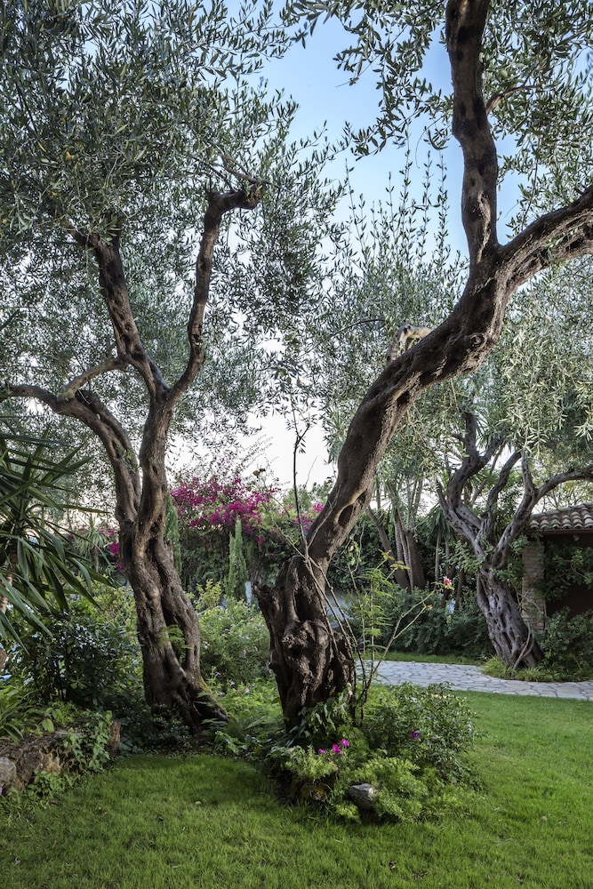 שטחי חוץ / גן