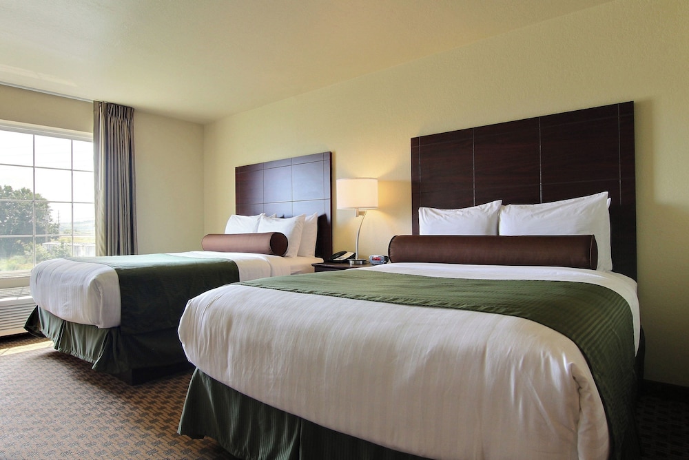 Cobblestone Inn & Suites Linton - photo 14