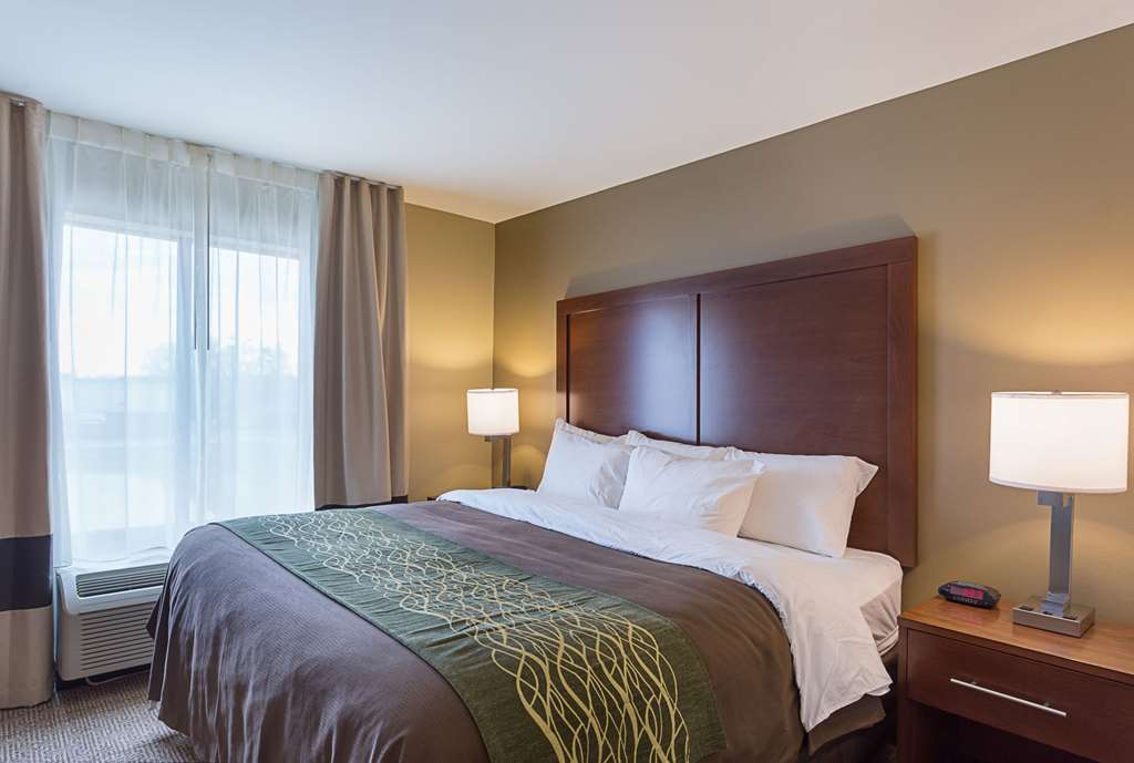 Comfort Inn & Suites Zachary - photo 36