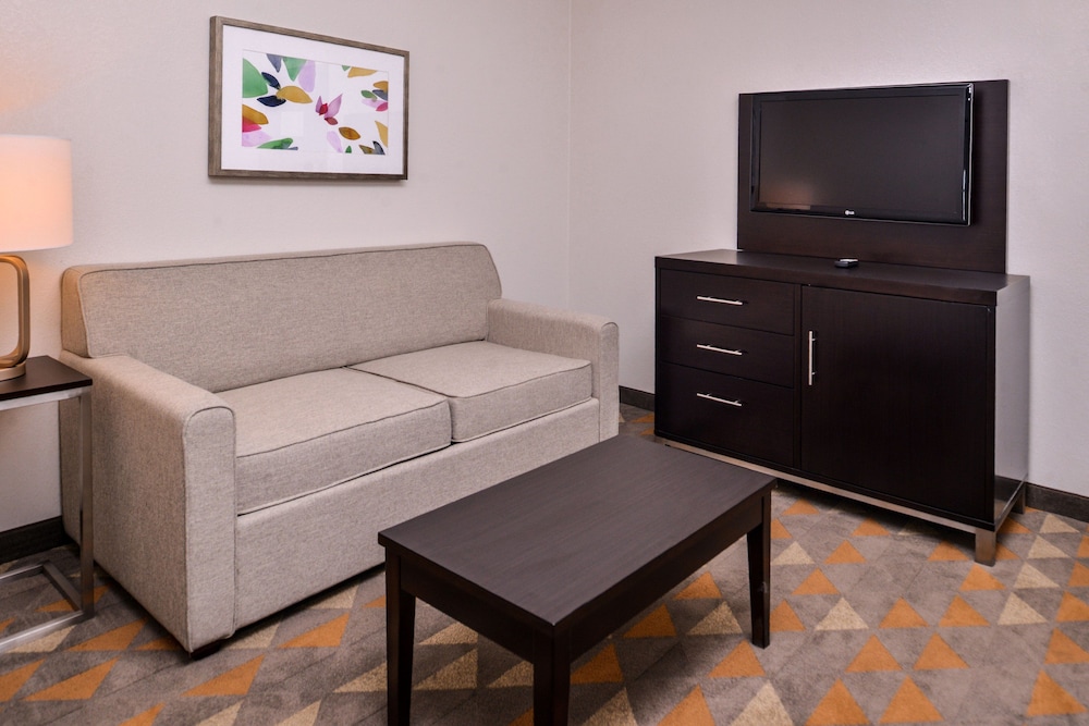 Holiday Inn & Suites Dallas Addison by IHG - photo 10