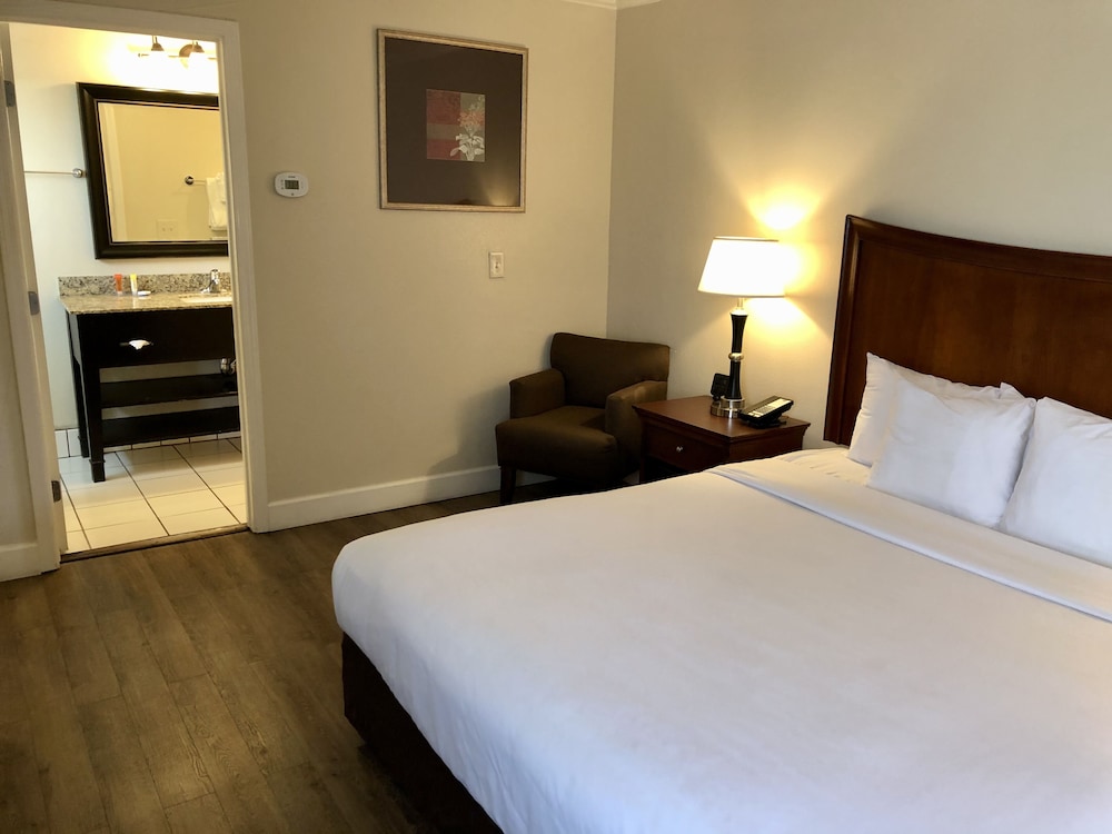 Blu Pacific Hotel - photo 23