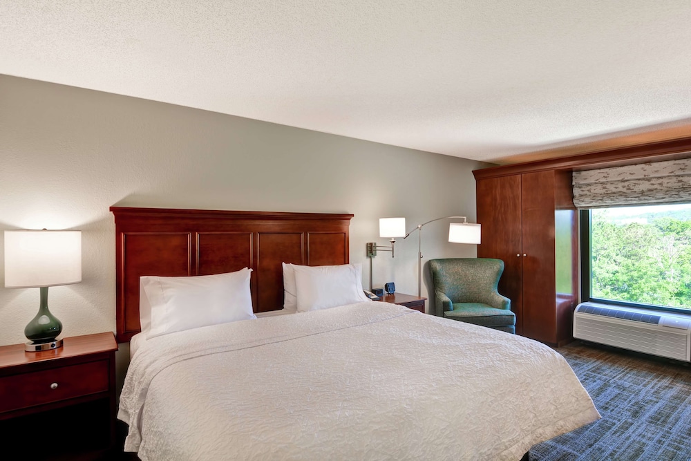 Hampton Inn Birmingham Mountain Brook - photo 8