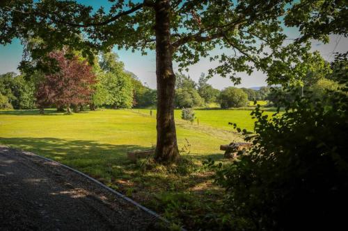 5 Self Catering