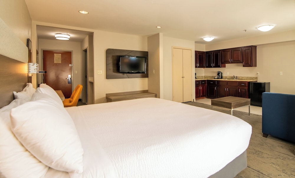 Holiday Inn Express & Suites College Station by IHG - photo 28