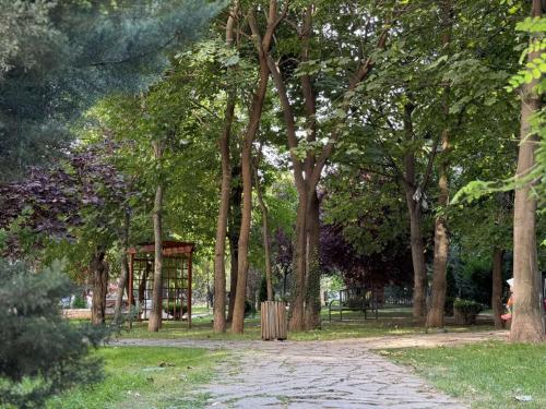 Comfortable 1BR Apartment near Metro & Park Ideal for Long Stays