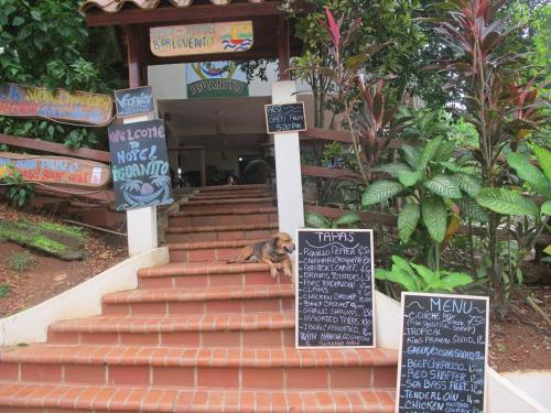 Hotel Iguanito — Santa Catalina — photo 3